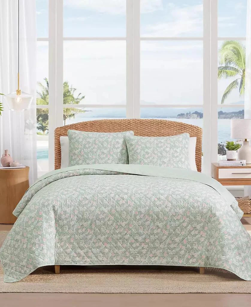 Tommy Bahama Home Pineapple Bloom Cotton Reversible 3-Pc. Quilt Set new arrivals