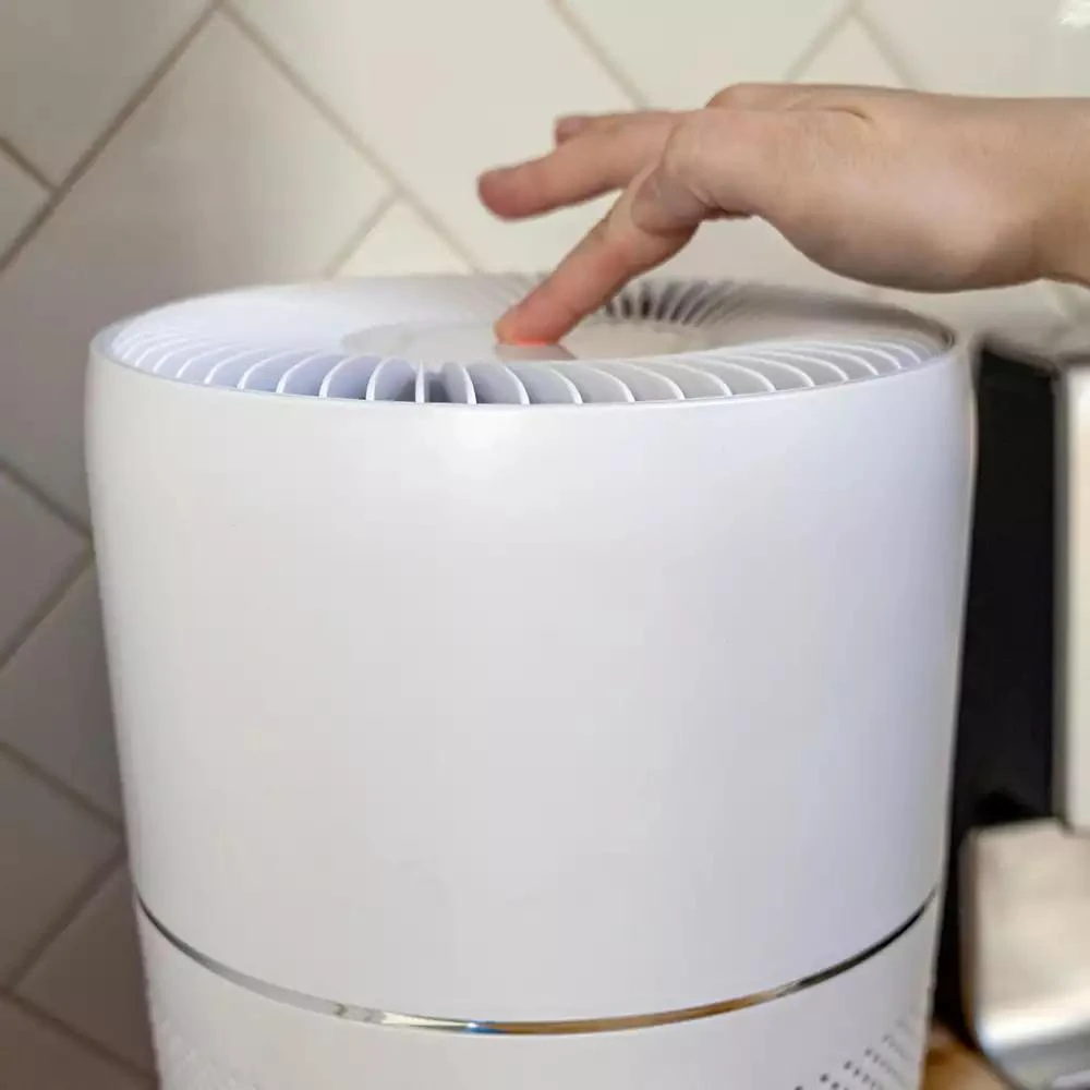 Ovalair OVAL AIR H13 Smart Desk Purifier – 150 sq. ft. | Filters Allergies, Odors 
Smoke 8