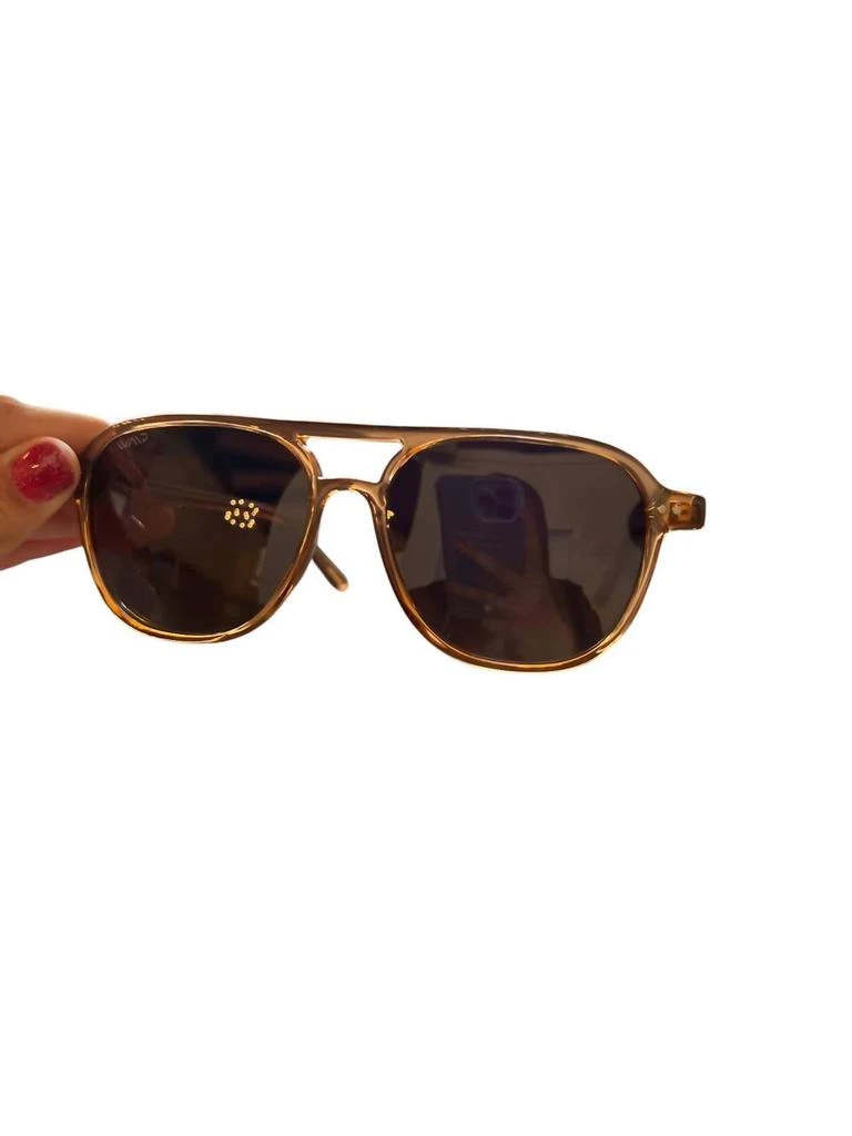 WMP Eyewear Women's Hayden Sunglasses In Brw/brw 1