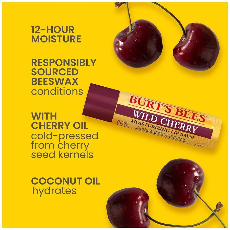 Burt's Bees Vanilla Bean & Wild Cherry Flavored Moisturizing Lip Balm Multi-Pack Wild Cherry and Vanilla Bean 10