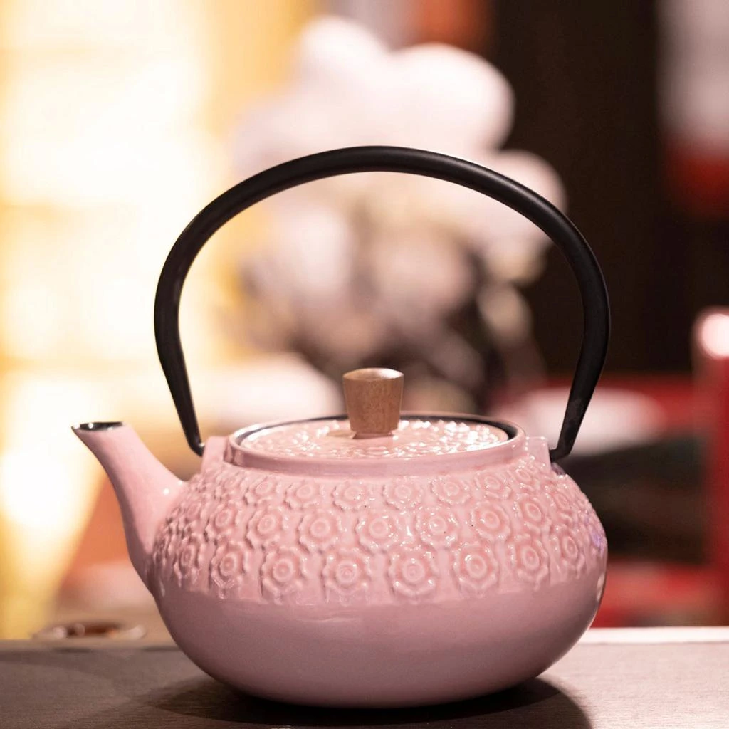 Minimal Minimal Enameled Cast Iron Teapot - Sakura 5