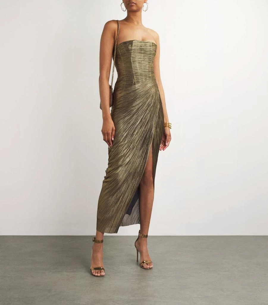 Maria Lucia Hohan Strapless Ruby Midi Dress 2