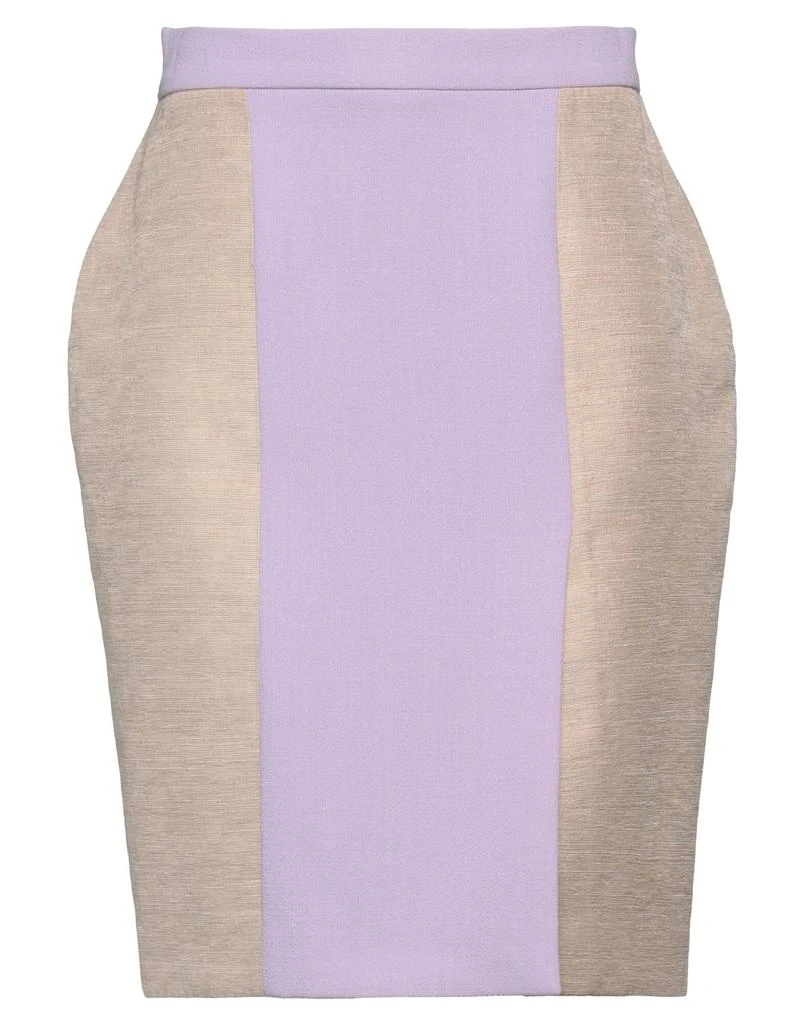 ROKSANDA Midi skirt 1