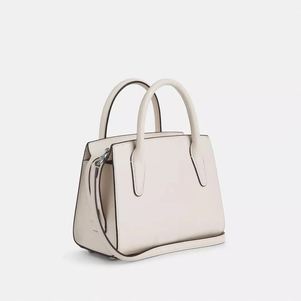 Coach Andrea Carryall Bag 6