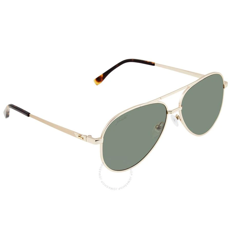 Lacoste Polarized Green Pilot Unisex Sunglasses L233SP 714 60 3
