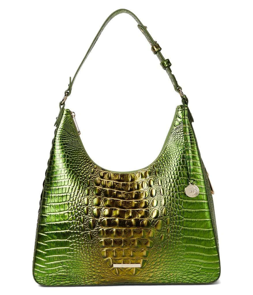 Brahmin Tabitha 1