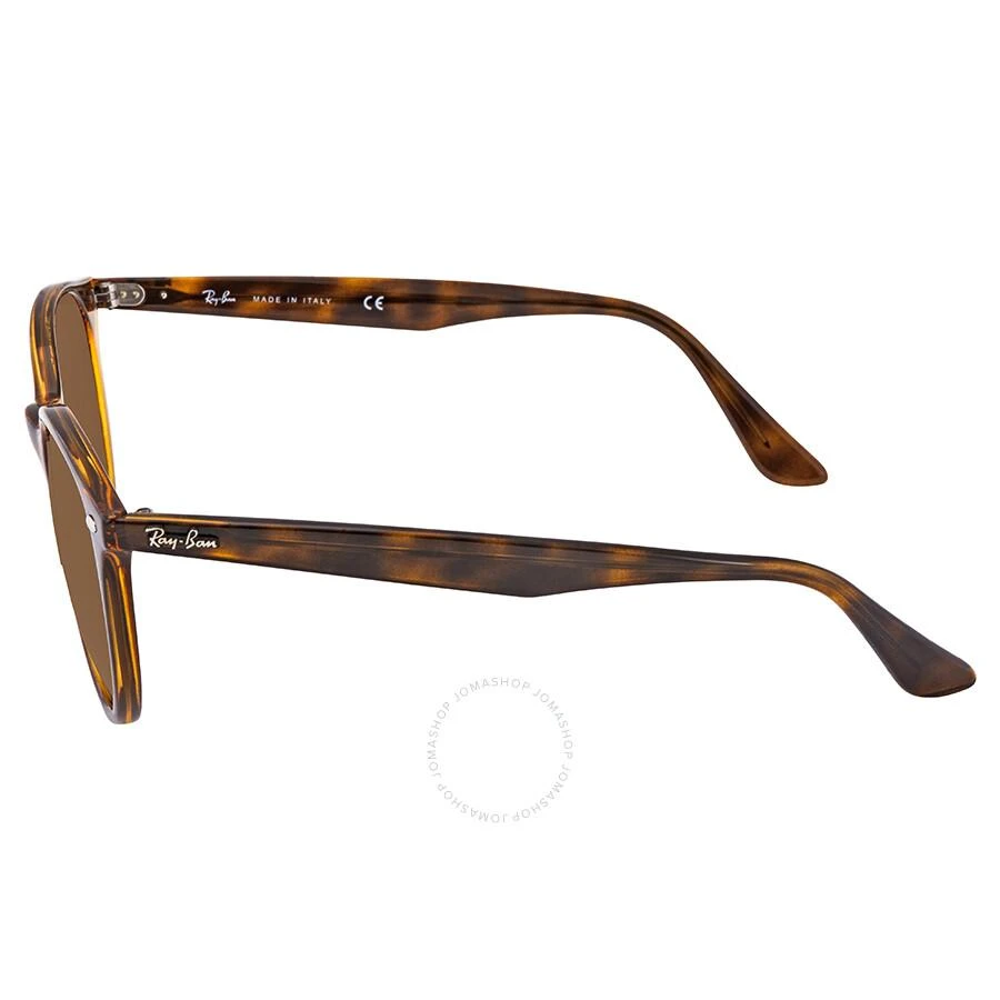 Ray-Ban Polarized Brown Classic B-15 Round Sunglasses RB4305 710/83 53 3