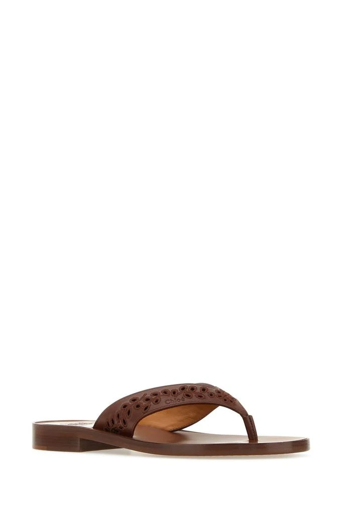 Chloé Brown leather Paz Chloé x Eres thong slippers 1