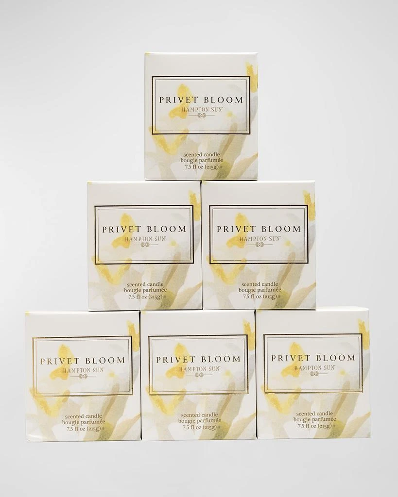 Hampton Sun 7.5 oz. Privet Bloom Scented Candle 3