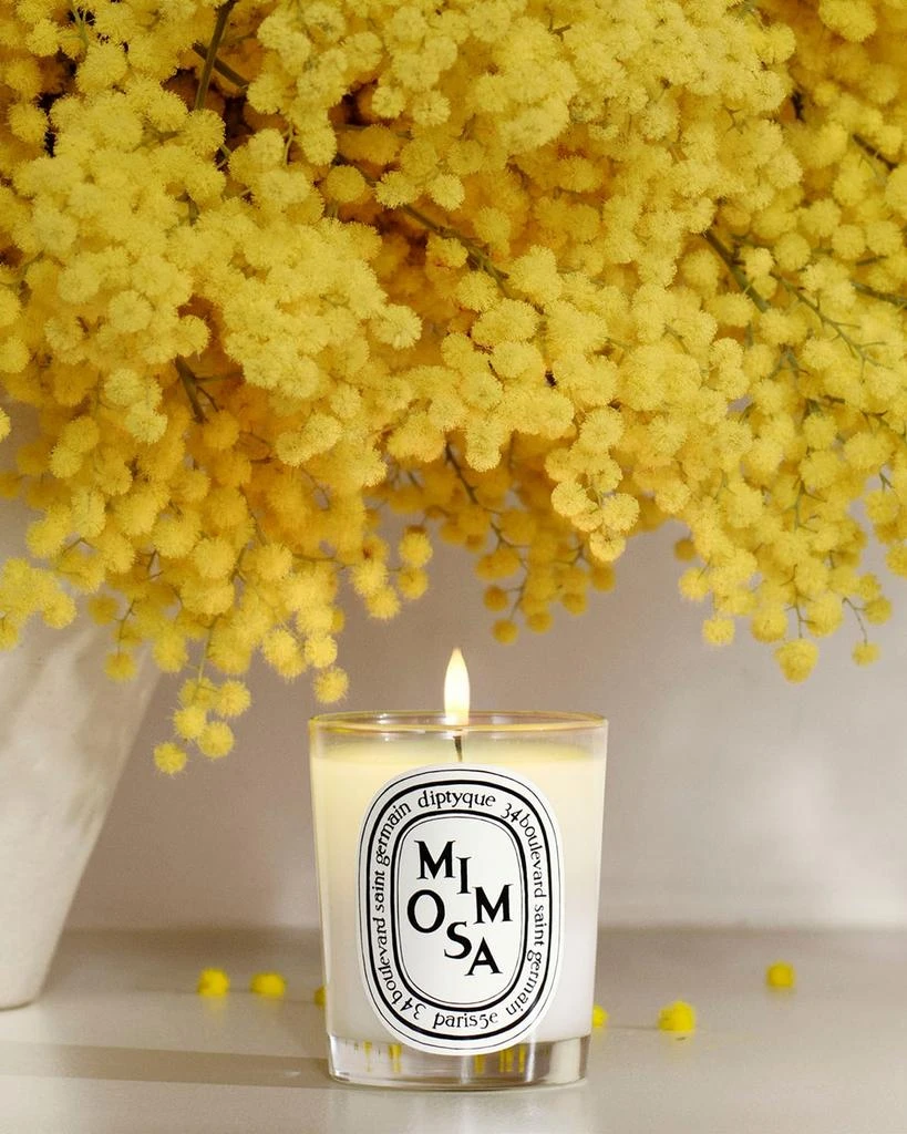 Diptyque Mimosa Scented Candle, 6.5 oz. 3