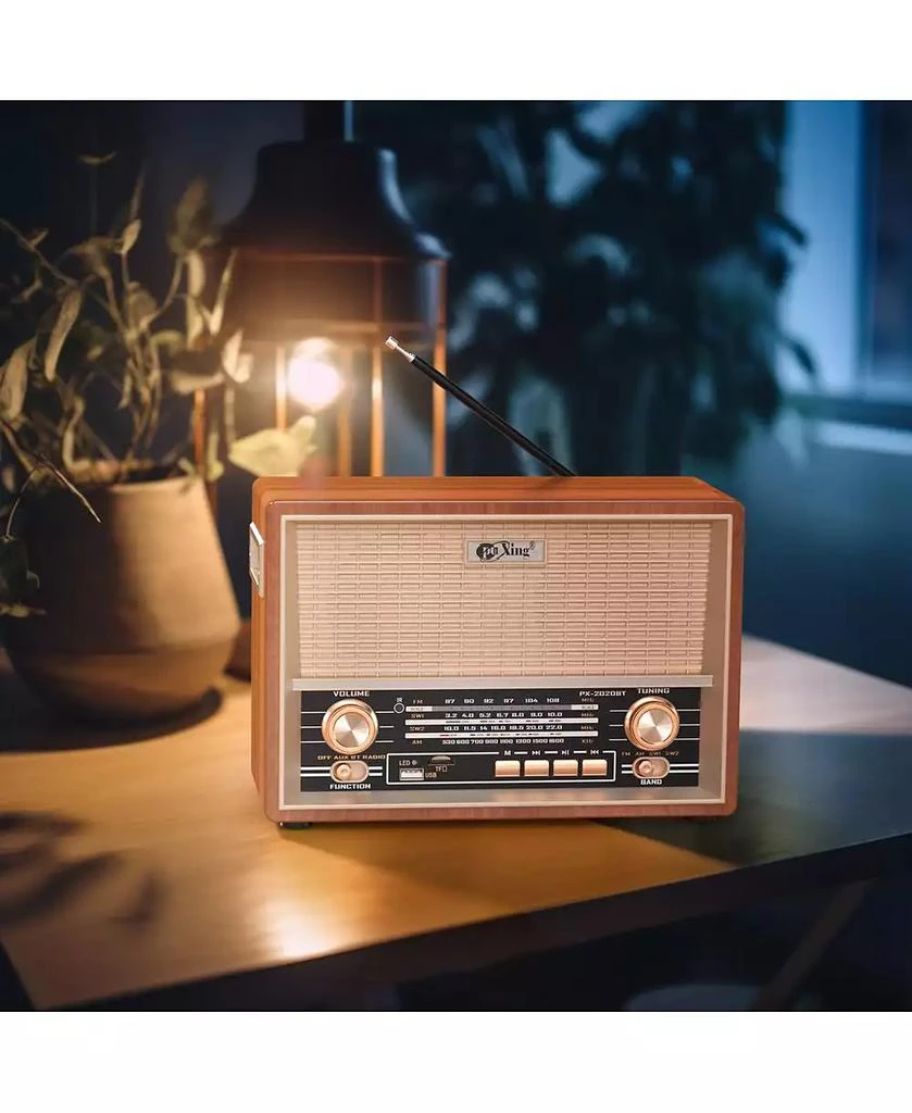 Artudatech Classic Retro Style Radio with 4-Band Reception and USB/SD/AUX Connectivity 2
