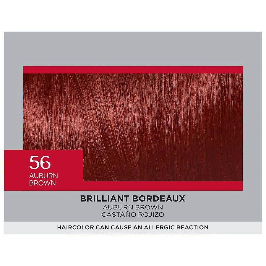 L'Oreal Paris Feria Permanent Hair Color 7