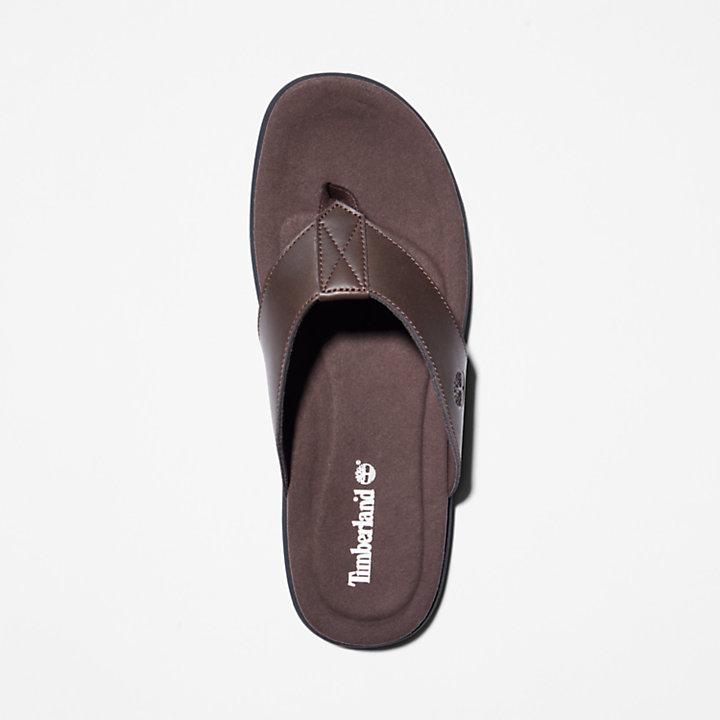 Timberland Kesler Cove Toe-bar Sandal for Men in Dark Brown