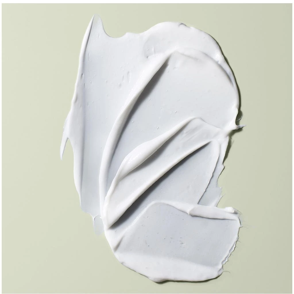 DevaCurl DevaCurl Melt Into Moisture Treatment Mask 3