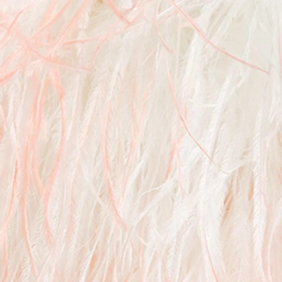 L'Alingi Crystal-Embellished Feather Clutch Bag 7
