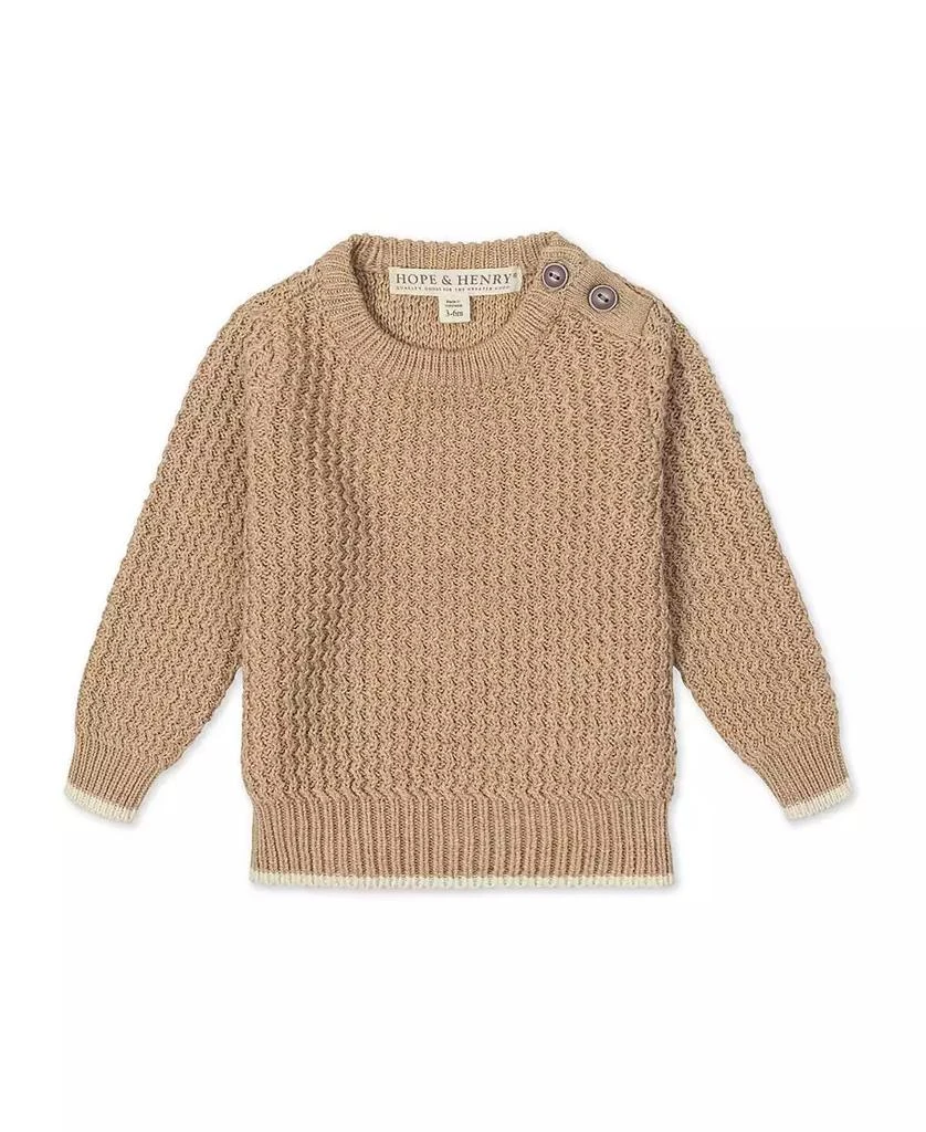 Hope 
Henry Baby Boys
 Organic Long Sleeve Crewneck Sweater with Buttons