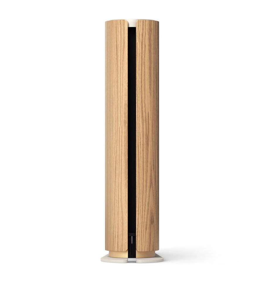 Bang & Olufsen Beosound Emerge AL2 Speaker 2