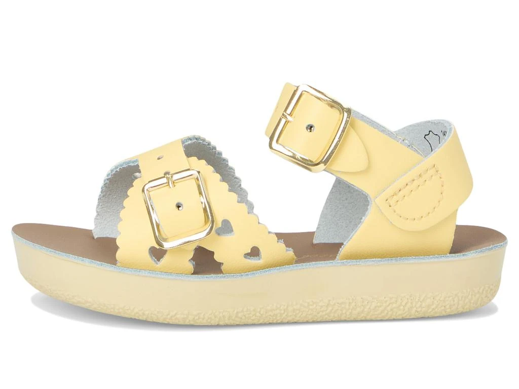 Salt Water Sandal by Hoy Shoes Sweetheart (Toddler/Little Kid) 4
