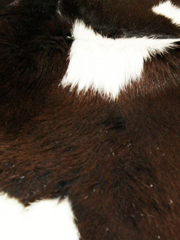 Natural Dyed Cow Hair Rug 2