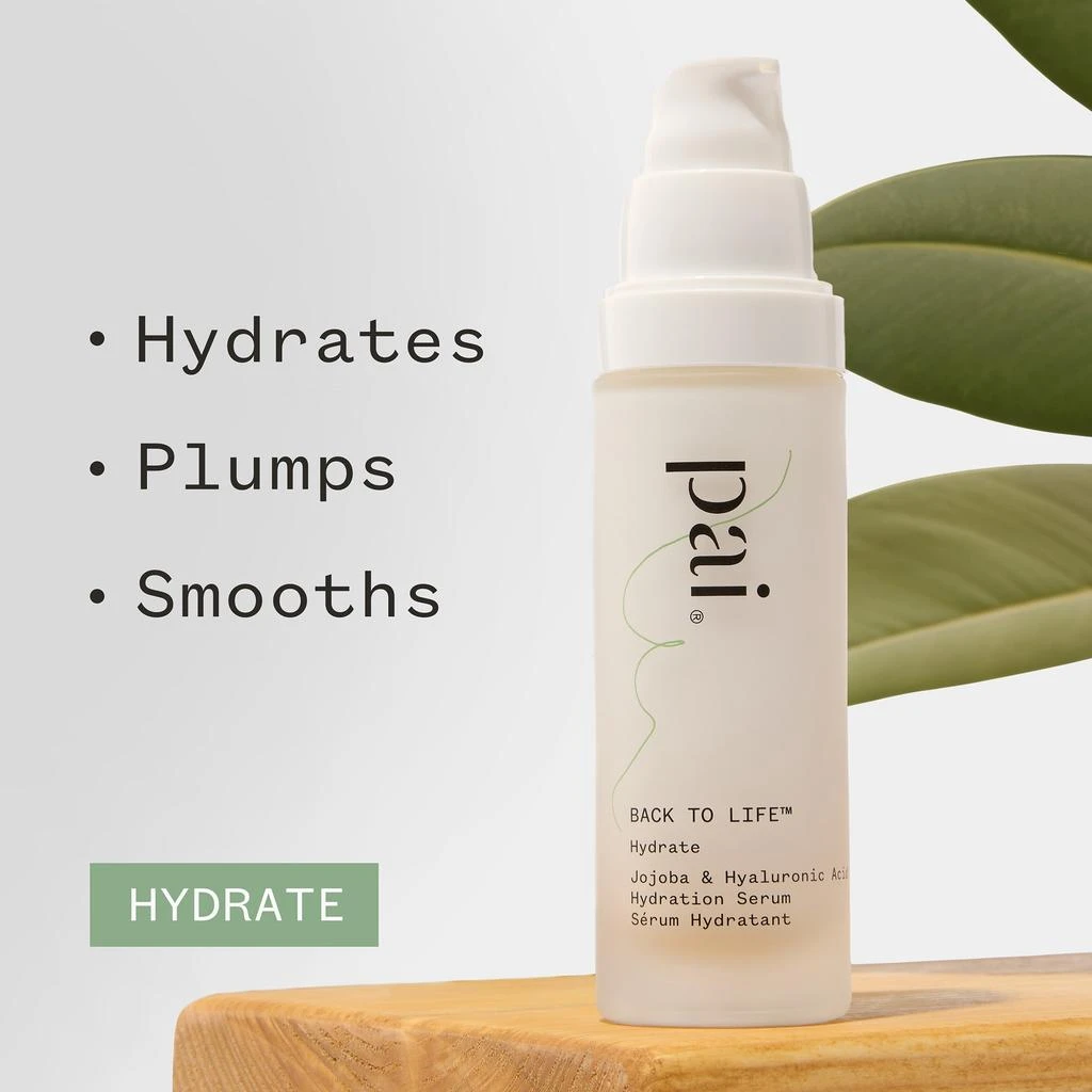 Pai Pai Skincare Back to Life Jojoba and Hyaluronic Acid Hydration Serum 30ml 6