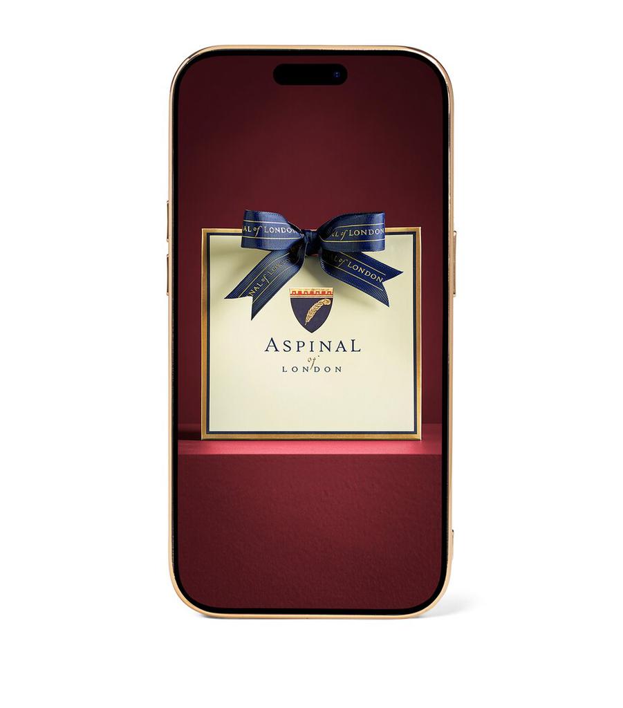 Aspinal of London Leather iPhone 14 Pro Case