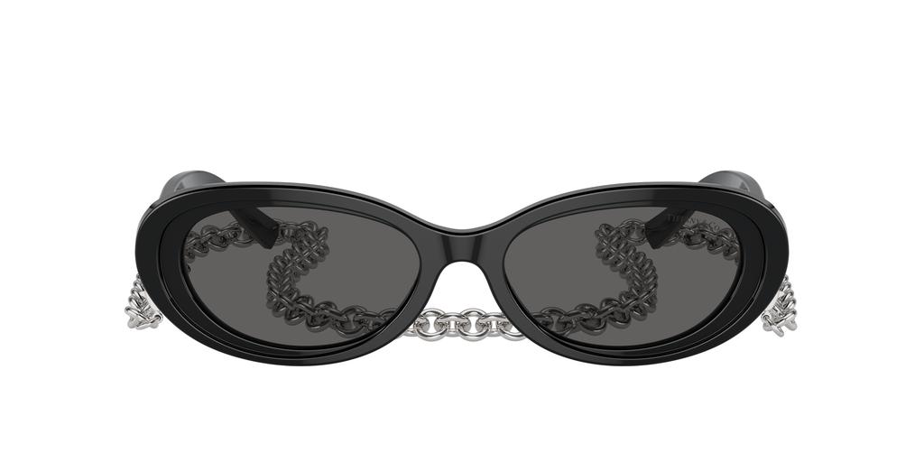 Tiffany & Co. Tiffany & Co. Woman Sunglass TF4221
