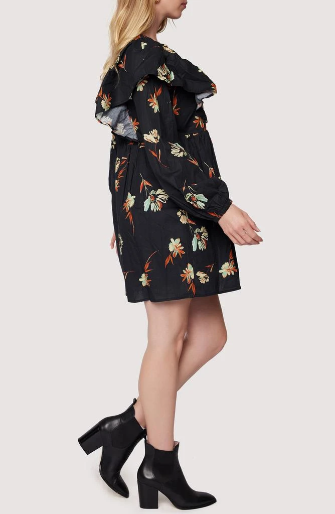 Lost and Wander Field of Dreams Ruffle Long Sleeve Minidress 3