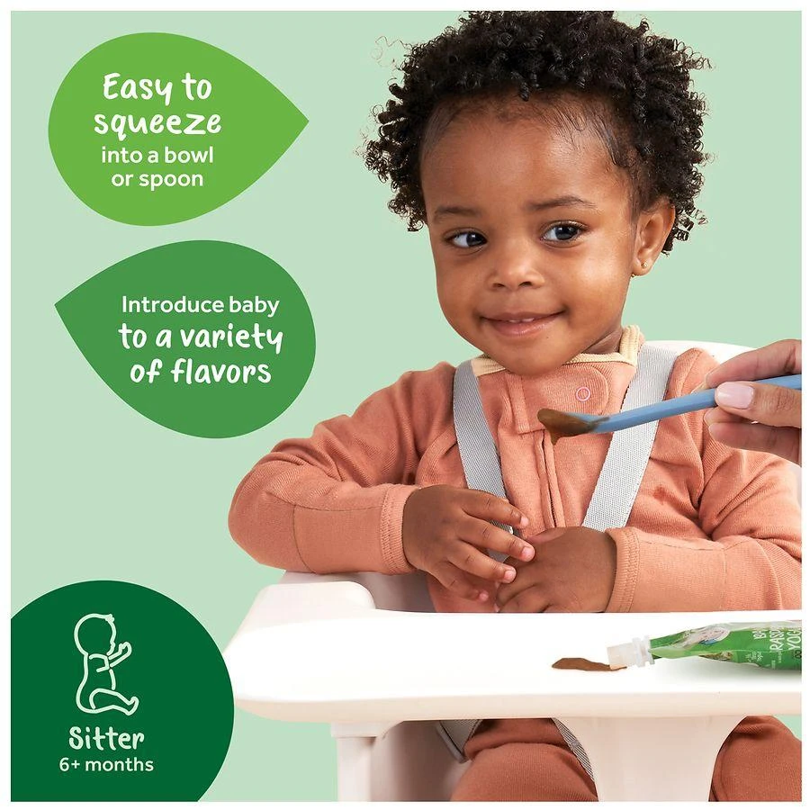 Gerber 2nd Foods Baby Food Apple Blueberry Spinach 5