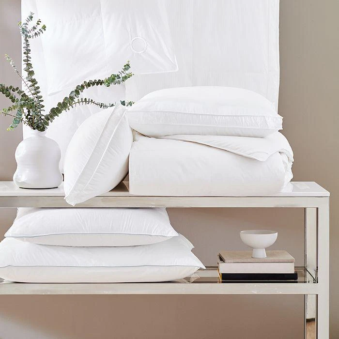 Live Comfortably Asthma & Allergy Friendly Soft/Medium Memorelle Pillows 3