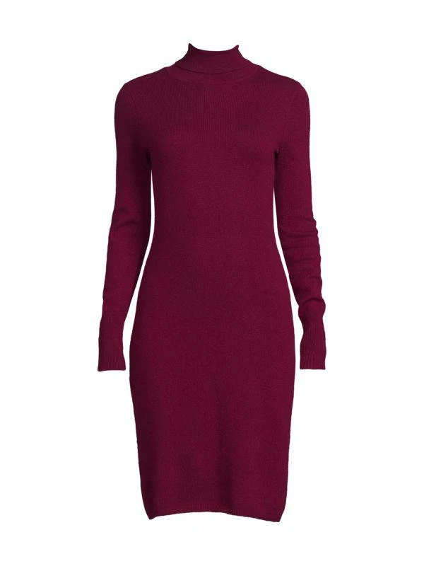 Sofia Cashmere Turtleneck Cashmere Sweater Dress 3