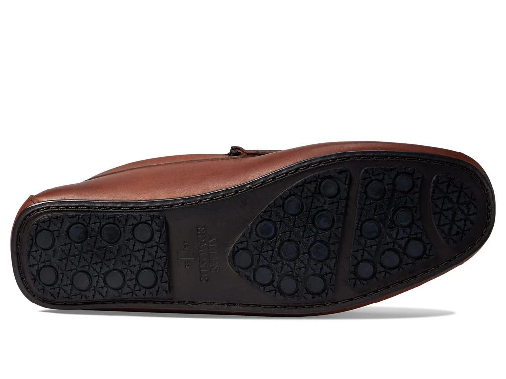Allen Edmonds Supersport Penny 3