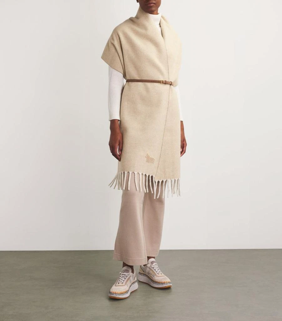 LANIFICIO COLOMBO Cashmere Scarf 2
