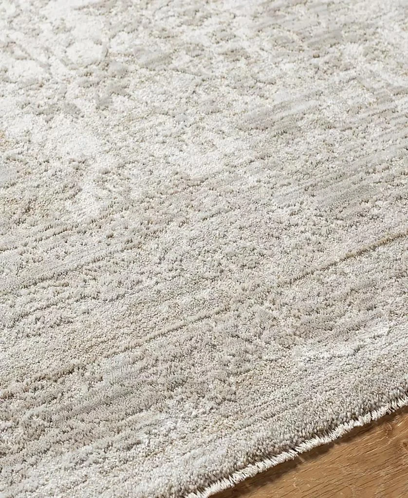 Surya Masterpiece High-Low MPC-2300 2'8" x 3'11" Area Rug 2