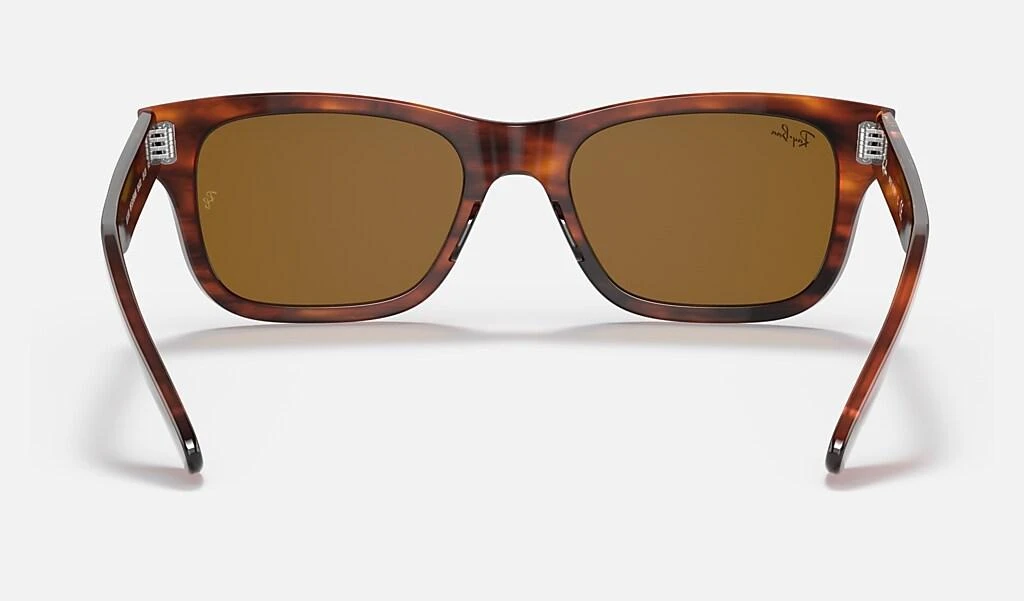 Ray-Ban BURBANK 4