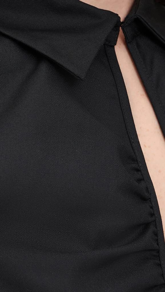 Lioness Serene Top 5