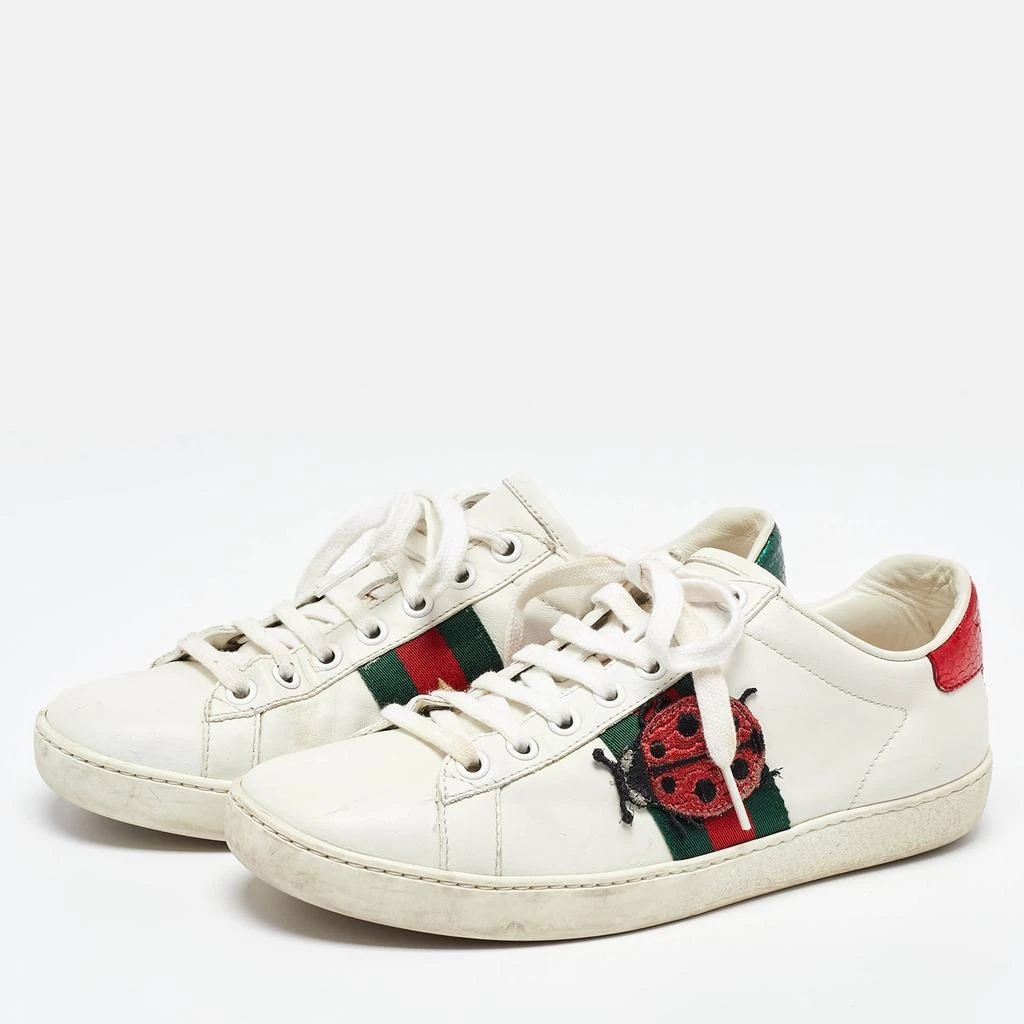 Gucci Gucci White/Red Leather and Snake Embossed Leather Ace Pineapple Sneakers Size 36 2