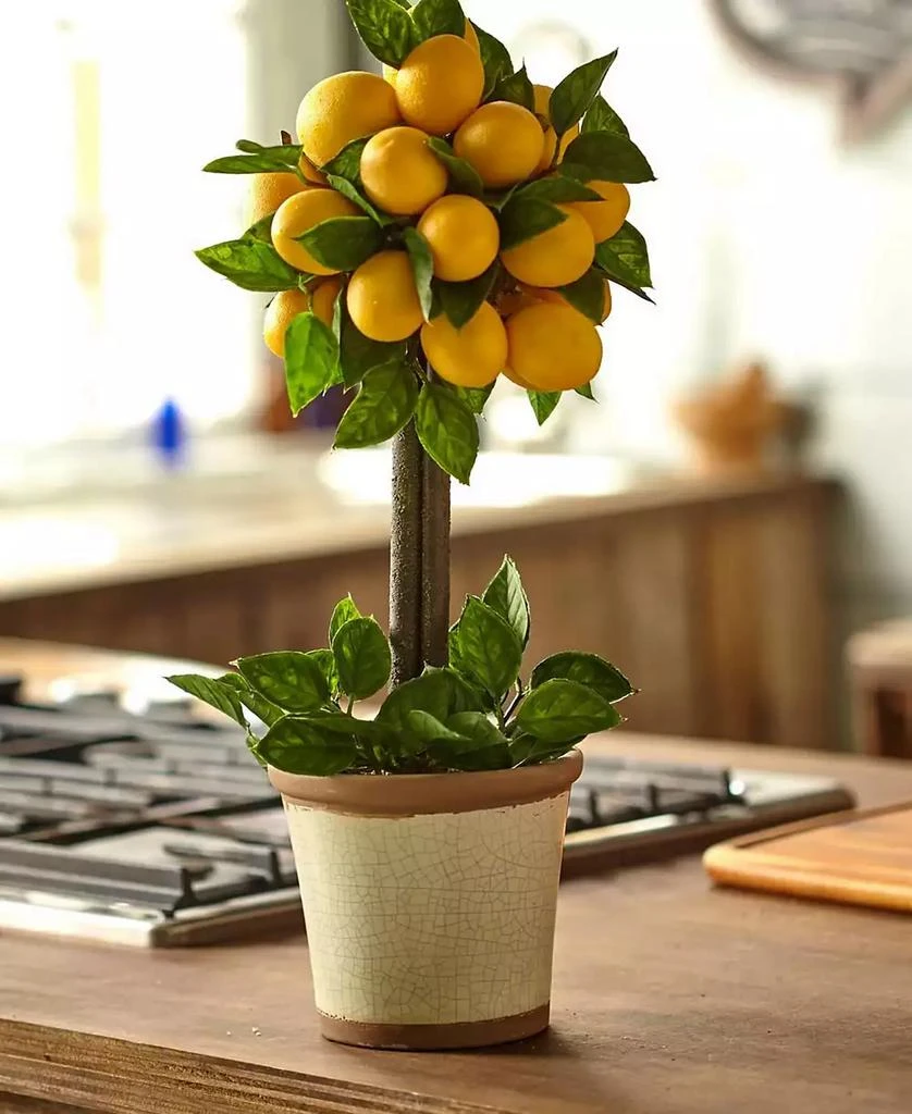 NEARLY NATURAL Lemon Ball Artificial Topiary Arrangement 6