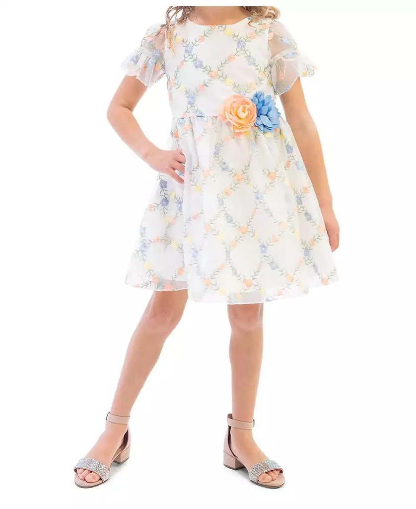 Rare Editions Toddler Girls 3D Floral Embroidered Social Dress 1
