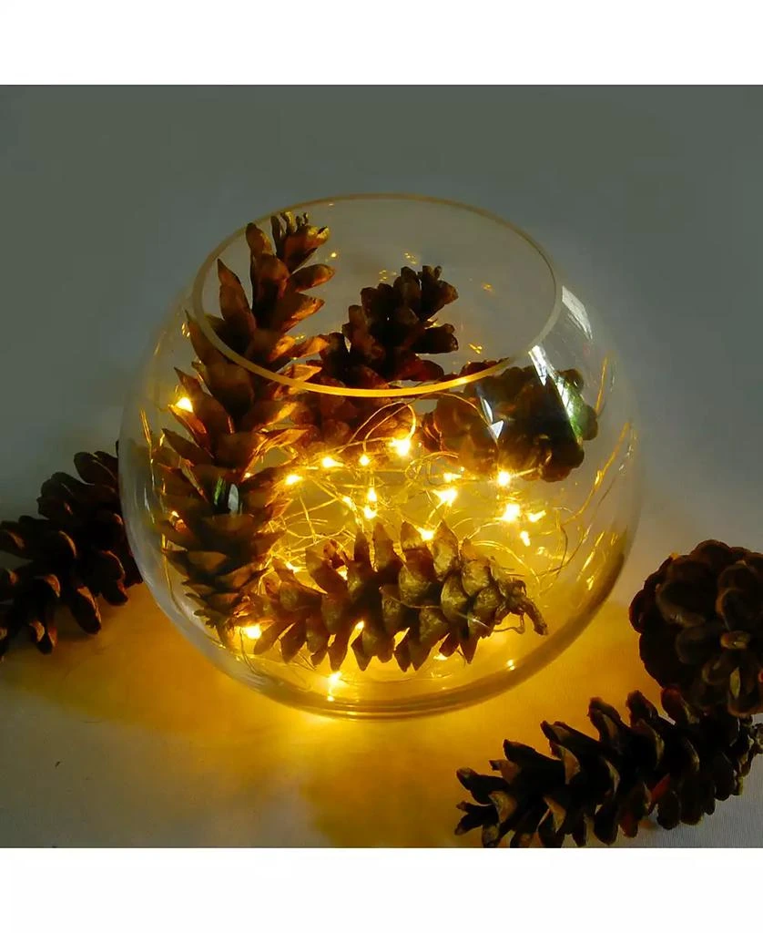 JH Specialties Inc/Lumabase Lumabase Battery Operated Fairy String Lights, Set of 6 3
