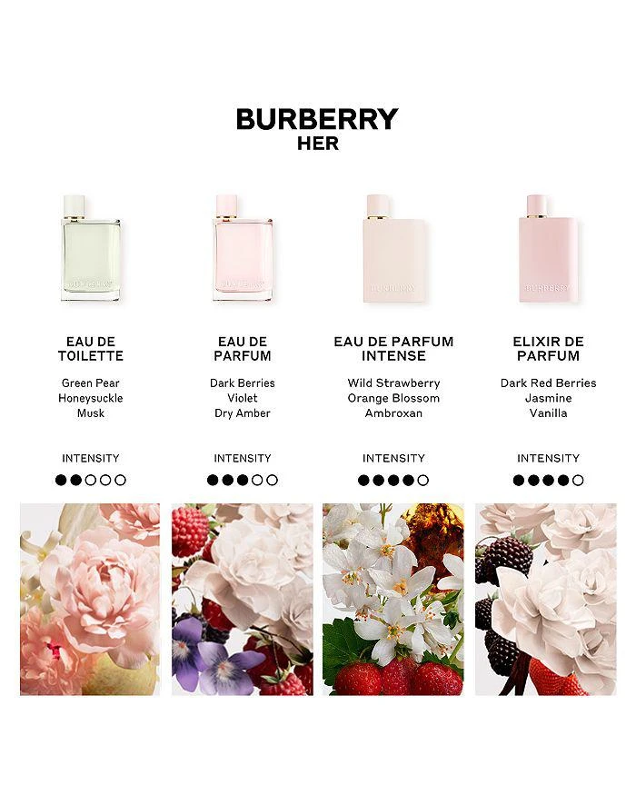 Burberry Her Perfume Gift Set ($92 value) 6