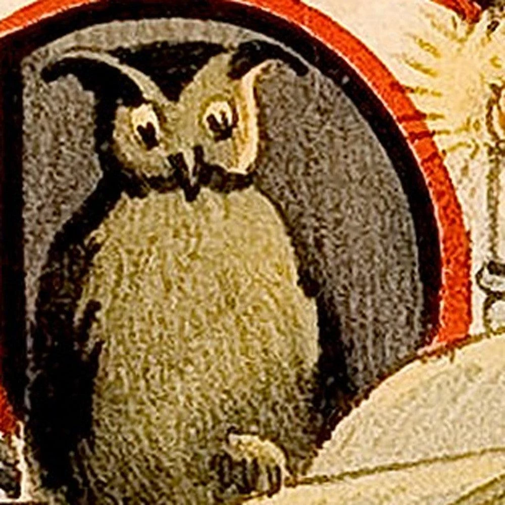 Hivvago Vintage 1895 Blackstone Magic Unframed Print Wall Art 4