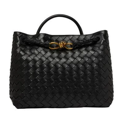 Bottega Veneta Andiamo medium bag 1
