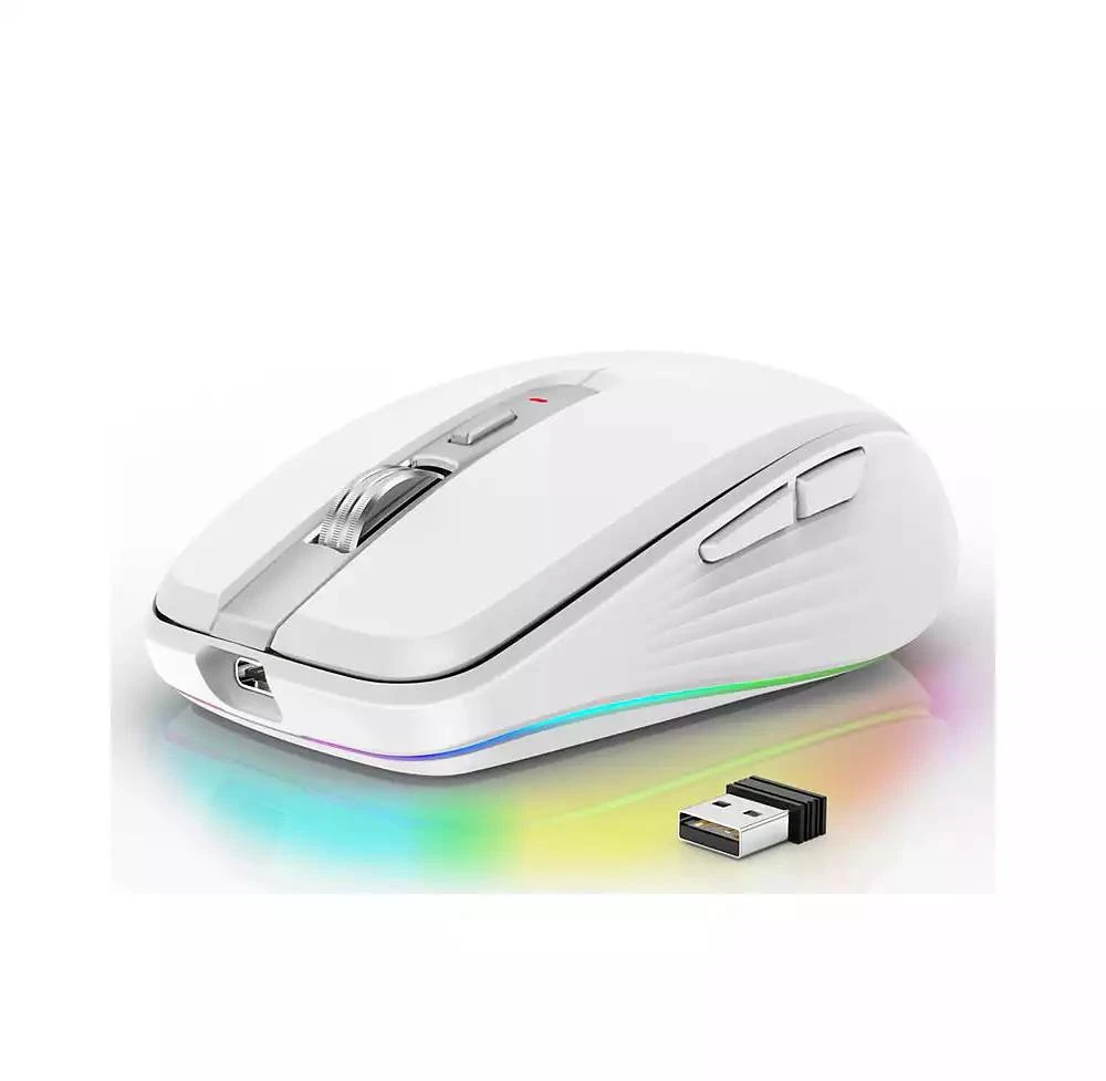 risokeys Dual-Mode Wireless Mouse-(2.4G 
Bluetooth 5.1), 2400 DPI Adjustable, Silent Click, Type-C Rechargeable