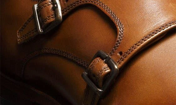Allen Edmonds Pierce Monk Strap Shoe 6