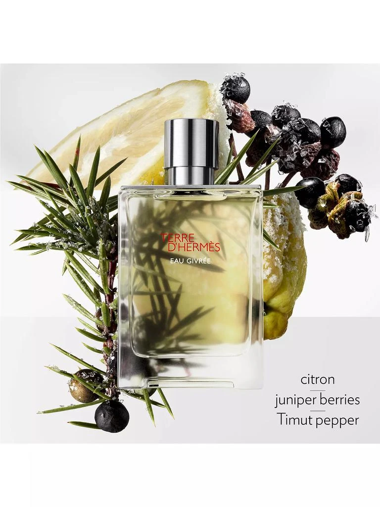 Hermes Terre D'Hermès Eau Givrée Refill 4