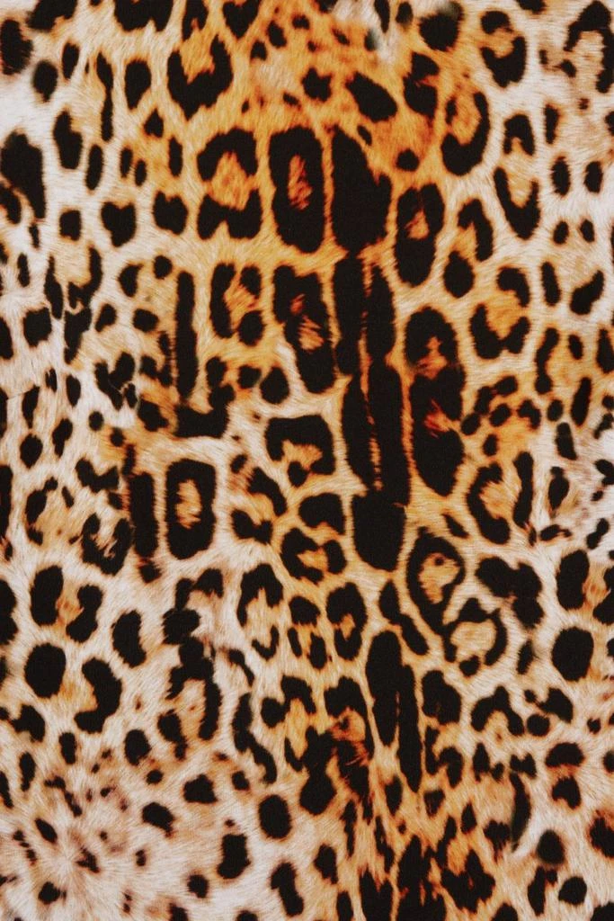 Halpern Open-back leopard-print stretch-jersey maxi dress 4
