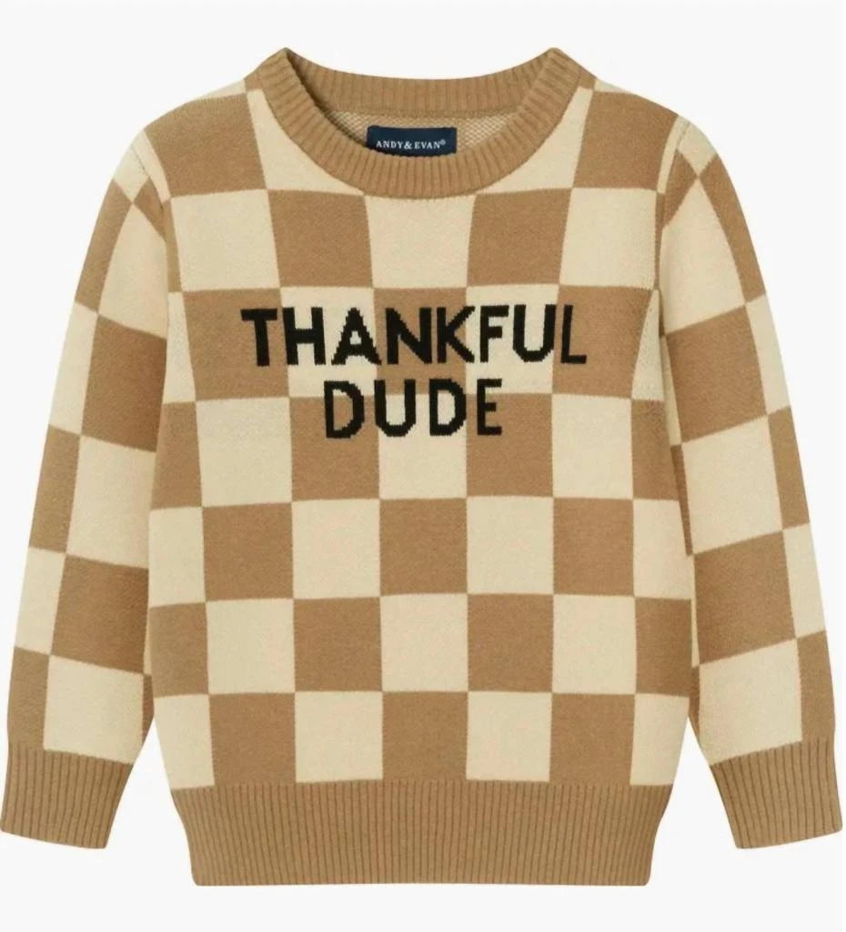 Andy 
Evan Andy 
Evan - Thankful Dude Sweater 3