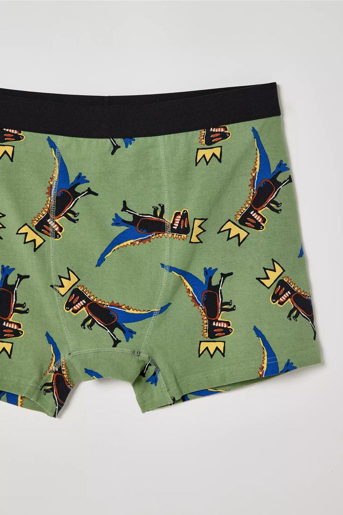 Urban Outfitters Basquiat Tossed Dino Boxer Brief