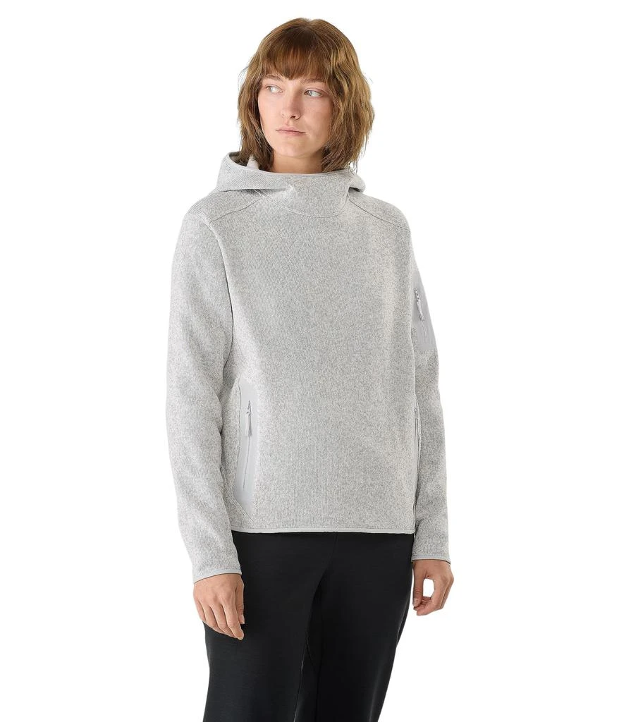 Arc'teryx Covert Pullover Hoody 1