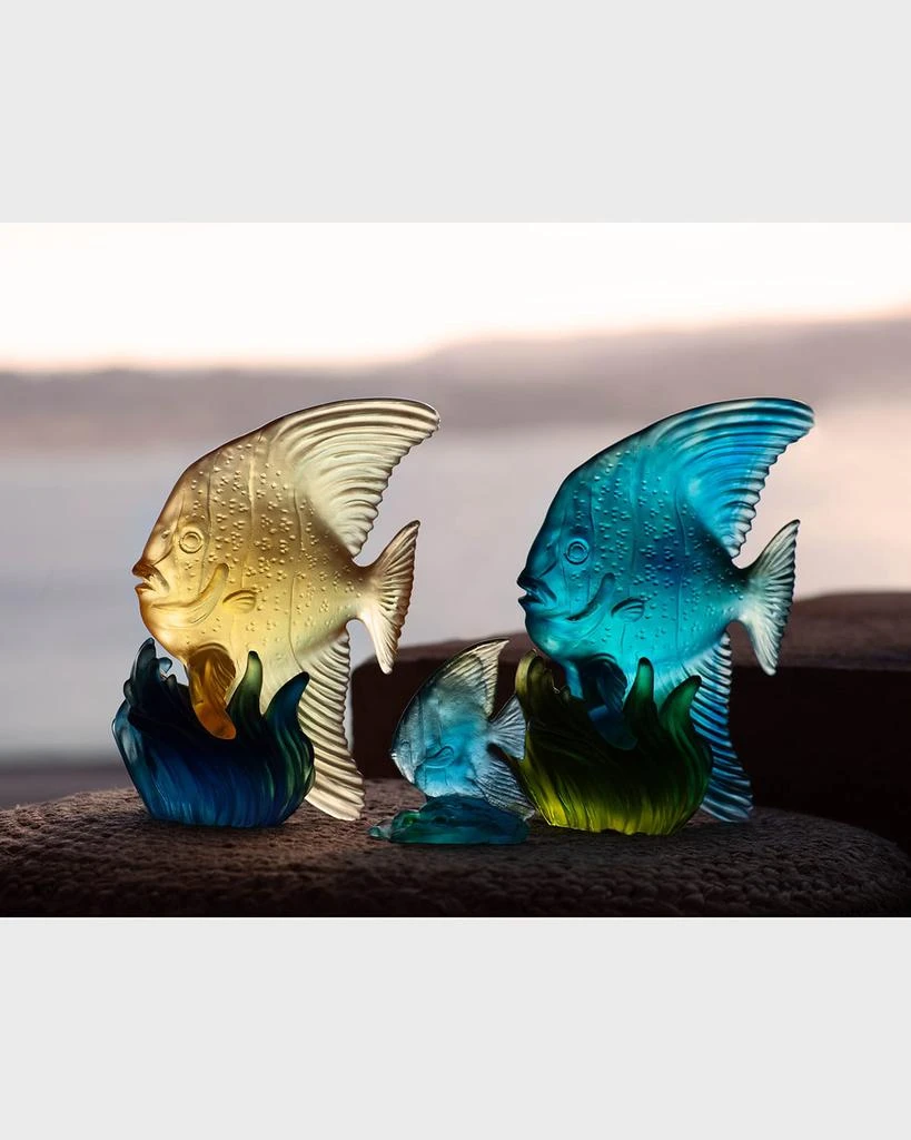 Daum Maya Blue and Green Medium Platax Fish 5